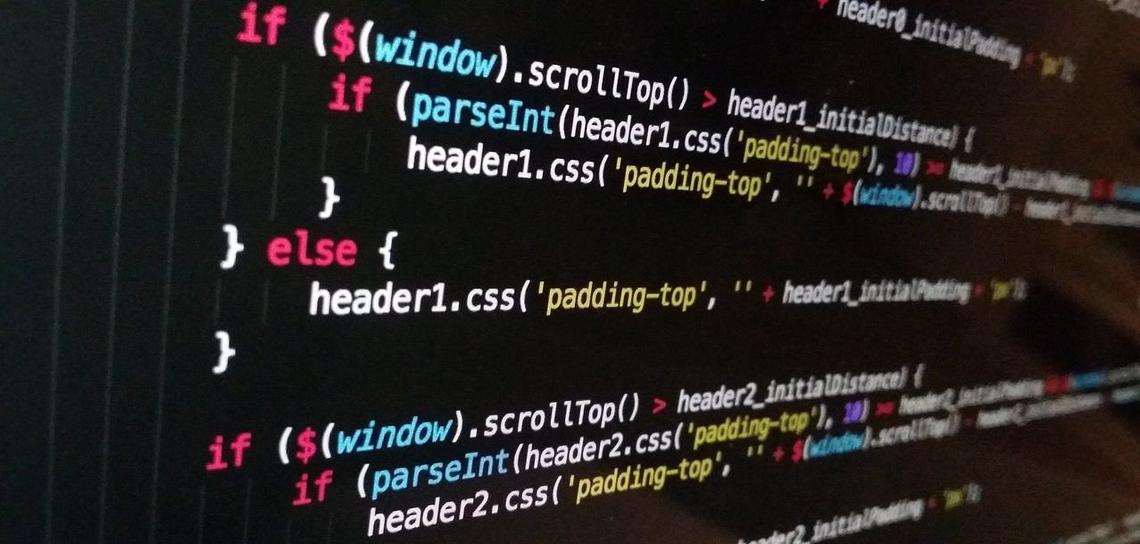 JavaScript Development Service